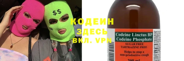стаф Касимов