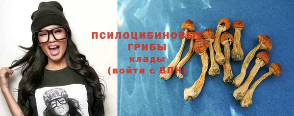 дурь Каменск-Шахтинский